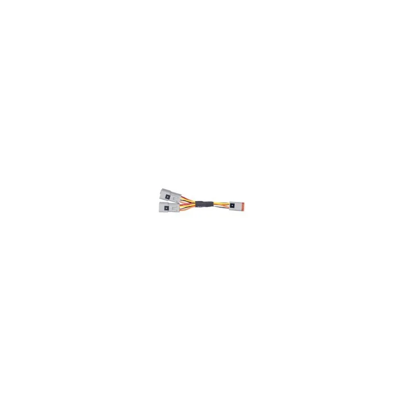 dintra202606090851423366169