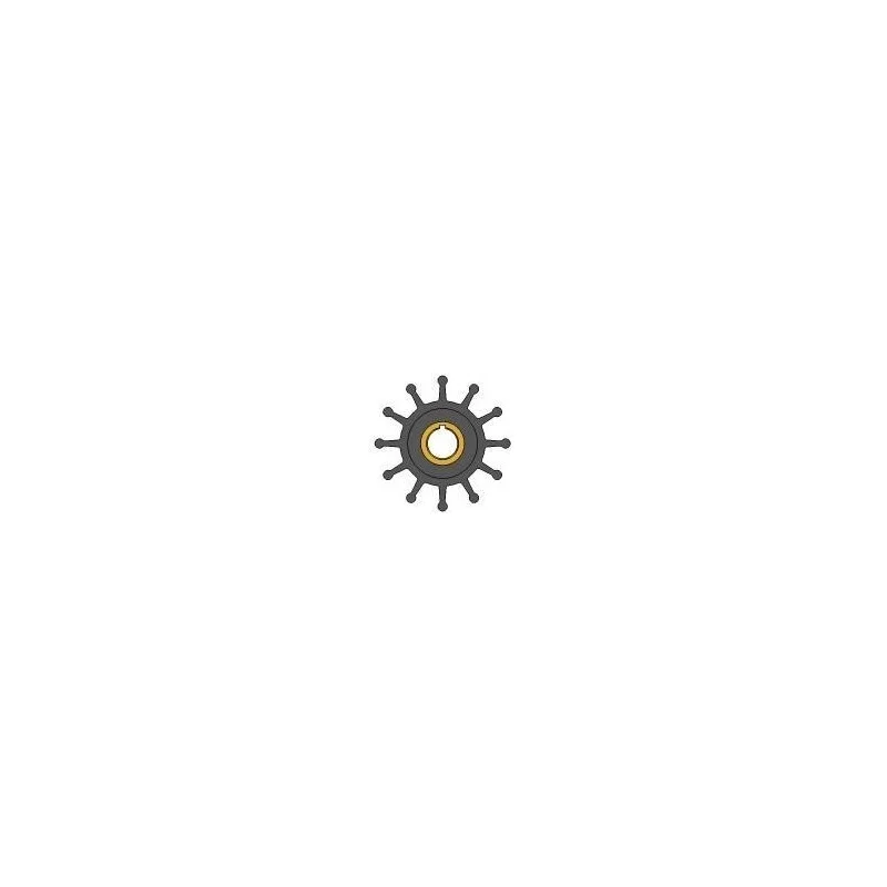 dintra202606090939163376303