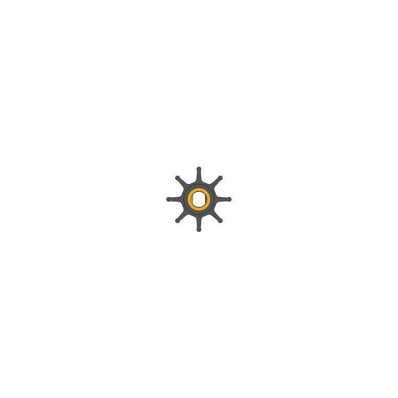 dintra202606090940163376500