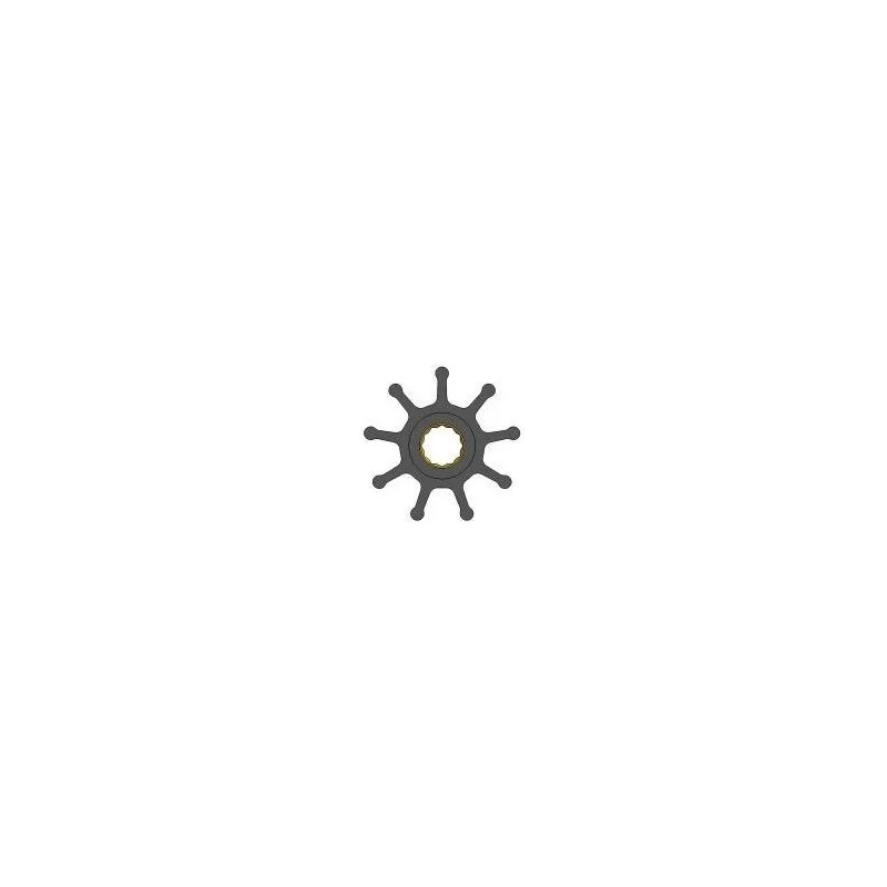 dintra202606090941023376642