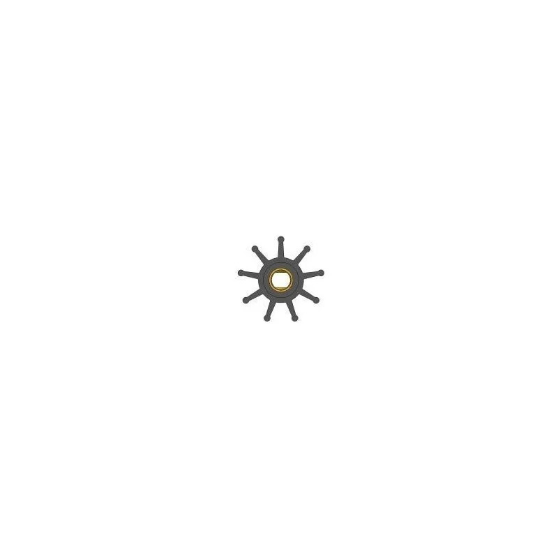 dintra202606090941463376788