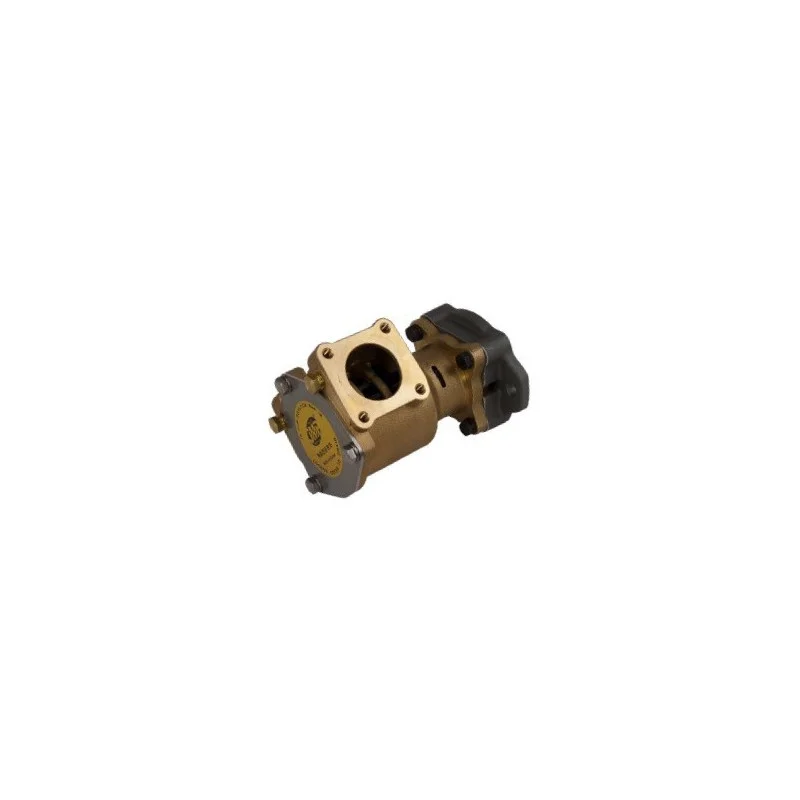 dintra202606090944173377320