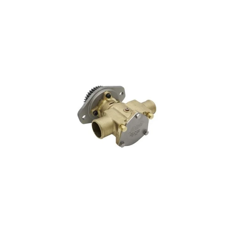 dintra202606091031273386460