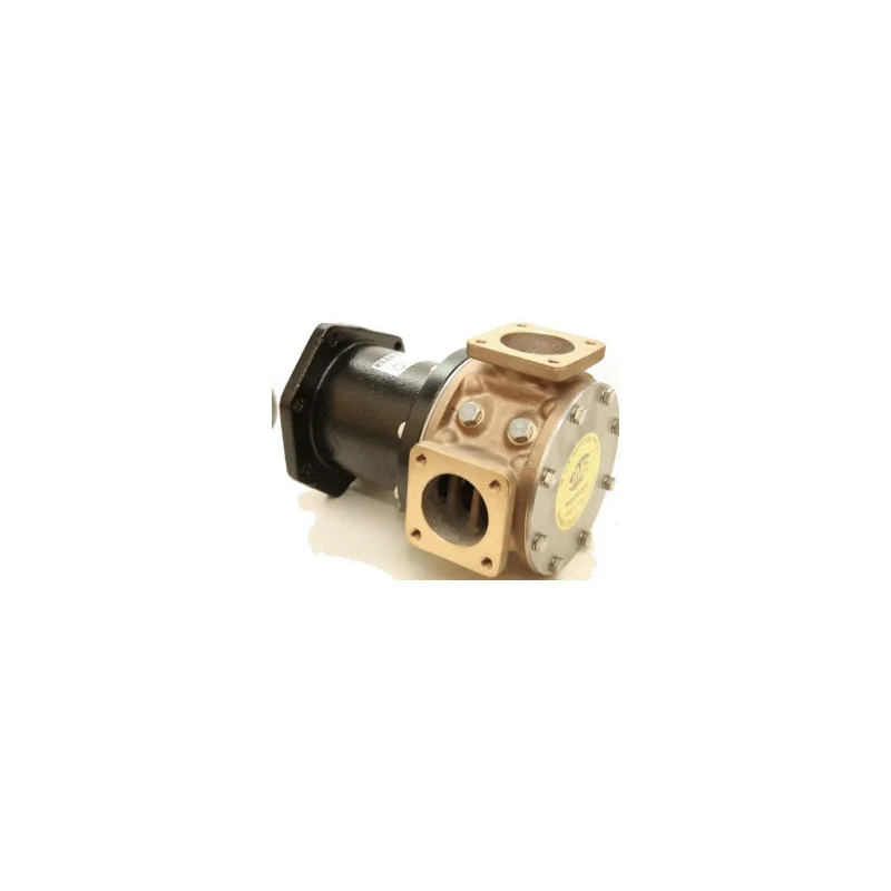 dintra202606091032233386675