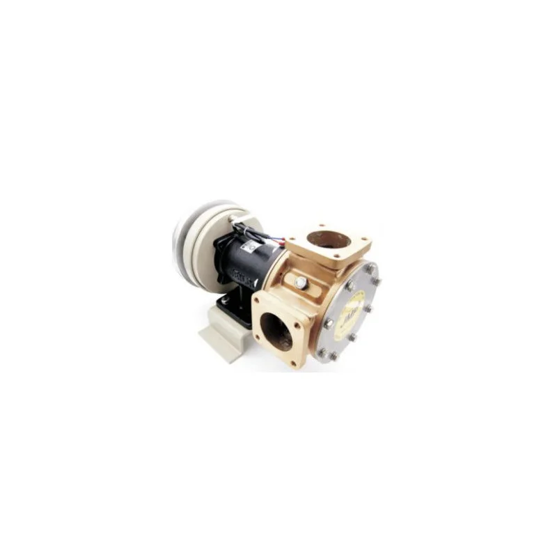 dintra202606091033193386852