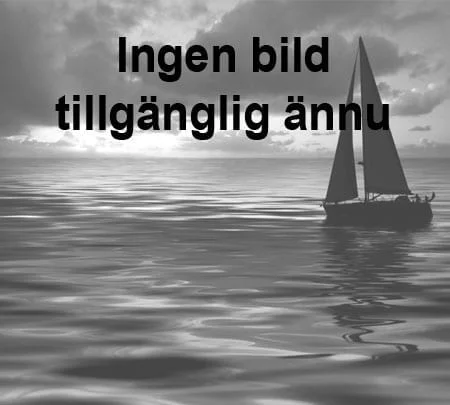 vikingyachting202606090921183372525